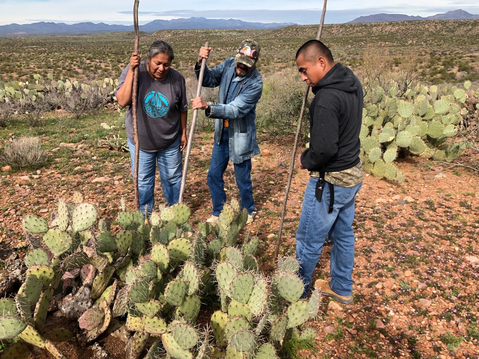 Lightning in the Hand: An Apache Leader Hunts for the Past to Nourish the Future