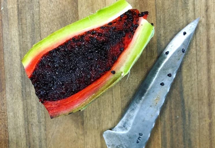 A Journey to the Heart of New Arizonan Cuisine